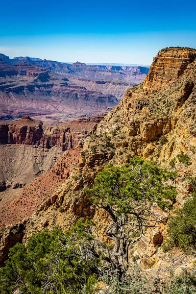 Blick Vom Lipan Point Auf Den Grand Canyon Arizona Südrand — Stockfoto