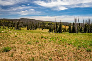 Cedar Breaks Ulusal Anıtı, Utah 'ın Cedar şehrinin 800 metre derinliğinde ve 3,500 metre genişliğinde doğal bir amfitiyatro kanyonudur..