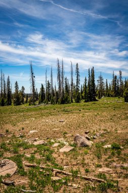 Cedar Breaks Ulusal Anıtı, Utah 'ın Cedar şehrinin 800 metre derinliğinde ve 3,500 metre genişliğinde doğal bir amfitiyatro kanyonudur..