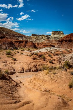 Toadstool Patikası yüzyıllar süren erozyon sonucu oluşan eşkıyalar ve dengeli kaya oluşumlarına yol açar ve Utah Kane County 'deki Büyük Merdiven-Escalante Ulusal Anıtı' nın bir parçasıdır..