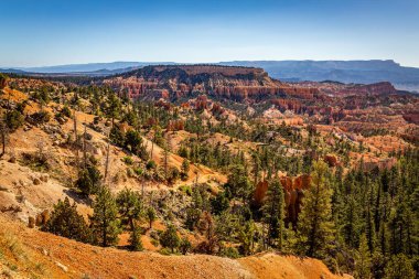 Utah 'taki Bryce Canyon Ulusal Parkı' nda Hoodoo ve aşınmış uçurum oluşumları..