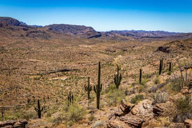 Arizona Eyaleti 88. karayolu boyunca çöl manzarası. Apaçi Patikası olarak bilinen eski bir posta arabası rotası..