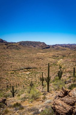 Arizona Eyaleti 88. karayolu boyunca çöl manzarası. Apaçi Patikası olarak bilinen eski bir posta arabası rotası..