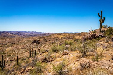 Arizona Eyaleti 88. karayolu boyunca çöl manzarası. Apaçi Patikası olarak bilinen eski bir posta arabası rotası..