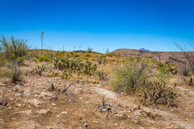 Arizona Eyaleti 88. karayolu boyunca çöl manzarası. Apaçi Patikası olarak bilinen eski bir posta arabası rotası..
