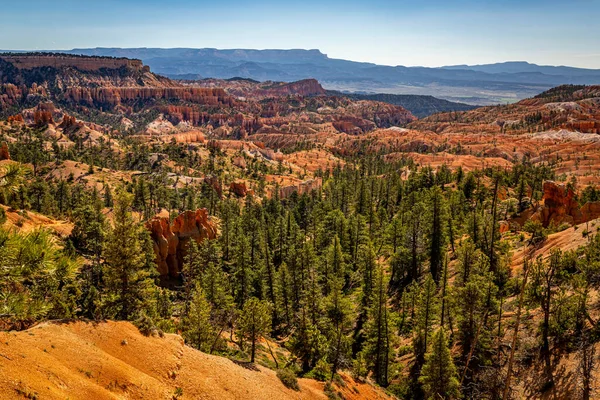 Utah Taki Bryce Canyon Ulusal Parkı Nda Hoodoo Aşınmış Uçurum — Stok fotoğraf