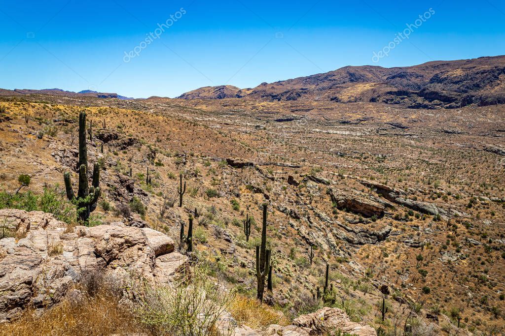 Vistas al desierto a lo largo de la Ruta Estatal de Arizona 88, una