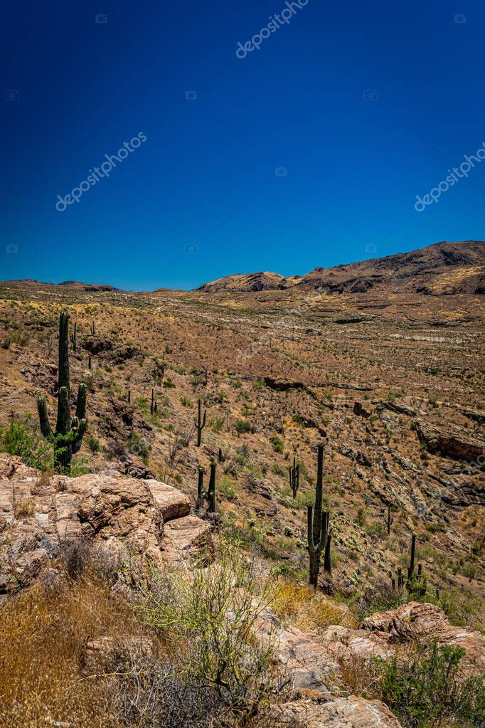 Vistas al desierto a lo largo de la Ruta Estatal de Arizona 88, una
