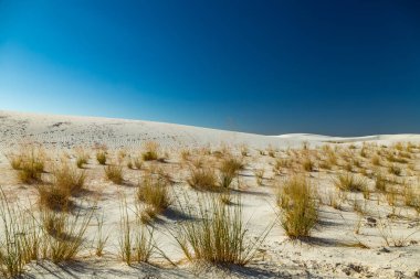 Alamogordo, New Mexico yakınlarındaki White Sands Ulusal Anıtı.