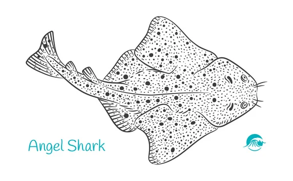 Angel Shark ilustração desenhada à mão — Vetor de Stock