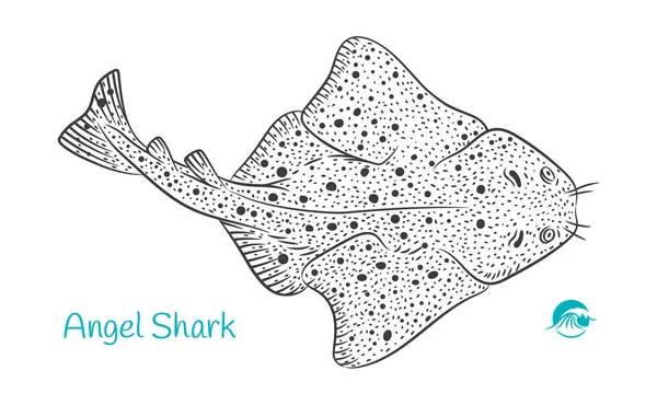 Angel Shark handgetekende illustratie — Stockvector