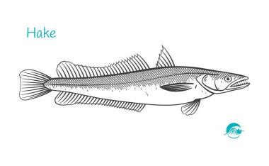 Hake çizilmiş illüstrasyon