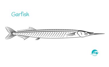 Download Garfish Free Vector Eps Cdr Ai Svg Vector Illustration Graphic Art