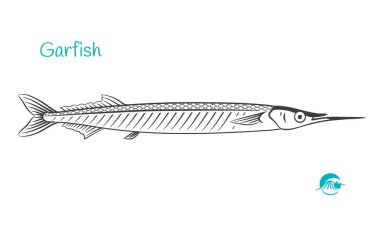 Download Garfish Free Vector Eps Cdr Ai Svg Vector Illustration Graphic Art