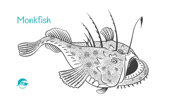 Monkfish ilustração desenhada à mão — Vetor de Stock