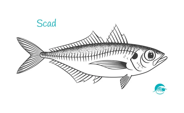 SCAD hand getekende illustratie — Stockvector