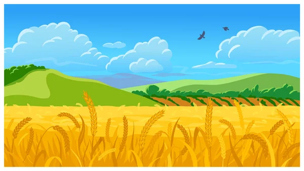 Summer field vector illustration — Stock Vector