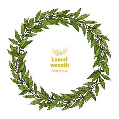 Laurel Körfezi çelengi elle çizilmiş vektör çizimi 