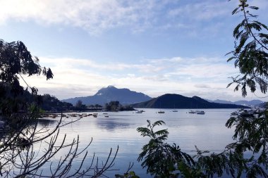 Doğal peyzaj fotoğrafçılık ağaç, dağ ve göl