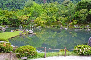 Yeşil bitkiler, dağ, balık, Japonya zen bahçesinde yansıması ile göl