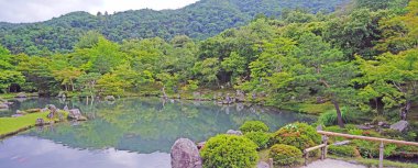 Yeşil bitkiler, ağaçlar, dağ, göl Japonya zen bahçesinde yansıması ile