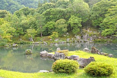 Yeşil bitkiler, ağaçlar, dağ, balık, Japonya zen bahçesinde yansıması ile göl