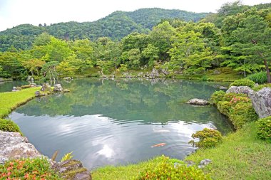 Yeşil bitkiler, ağaçlar, dağ, balık, Japonya zen bahçesinde yansıması ile göl