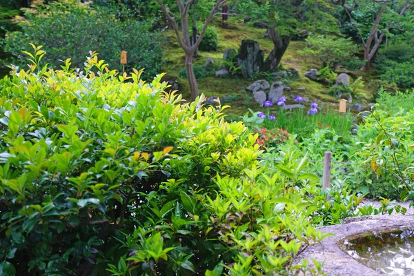 Buiten Stenen Decoratie Groene Planten Paviljoen Het Japanse Zen Tuin — Stockfoto