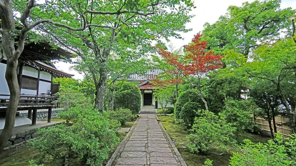 屋外の歩道 緑の植物 日本の禅庭のパビリオン — ストック写真