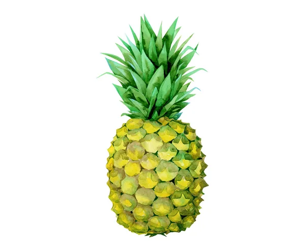 Zole Vektör Meyve Boyama Ananas Beyaz Zemin Üzerine Sarı — Stok Vektör
