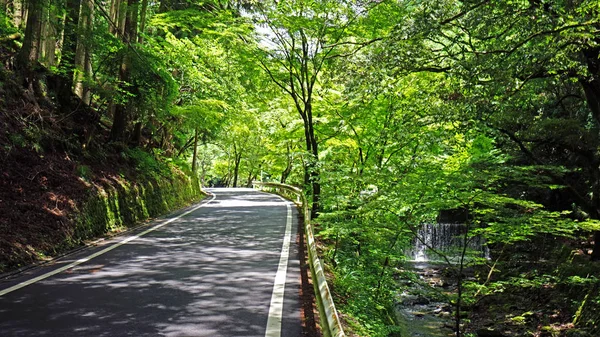 Strada Auto Recinzione Cascata Naturale Fiume Albero Verde Pianta Nella — Foto Stock