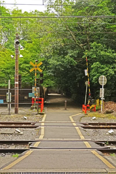 Dikey Açık Tren Trafik Işık Uyarısı Japonya Kırsal Kesimde Ile — Stok fotoğraf