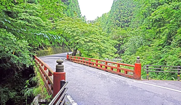 Japonya Traditiaonal Kırmızı Köprü Yol Kırsal Kesimde — Stok fotoğraf