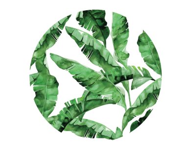 İzole vektör suluboya yeşil bitki yaprak deocration beyaz arka plan üzerinde