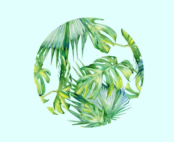 Изолированный Векторный Зеленый Цвет Листьев Растений Светло Голубом Фоне — стоковый вектор
