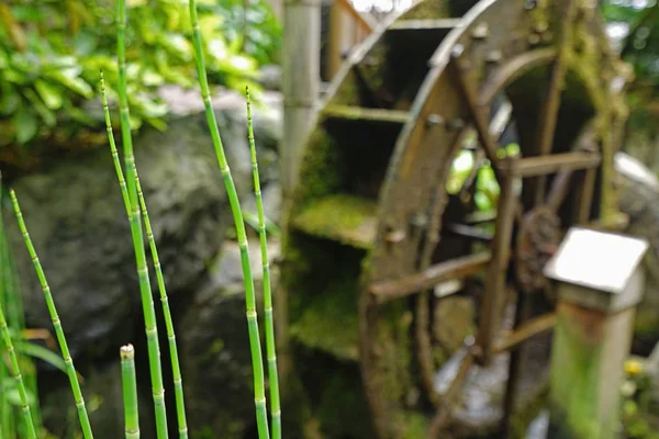 The traditional Japan zen garden with plant and decoration