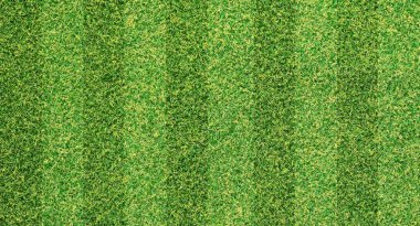 Sorunsuz huylu yeşil çim alan doku afiş arka plan