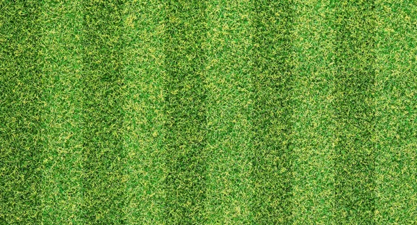 Seamless natured green grass field texture banner background — Stock Photo, Image