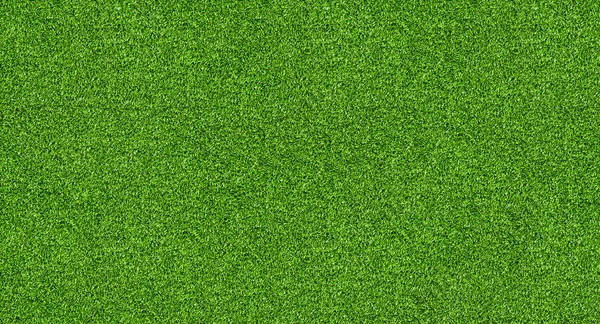 Fondo de banner de textura de campo de hierba verde natural sin costuras —  Fotos de Stock