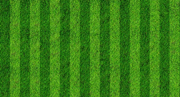 Sem costura natured verde grama campo textura banner fundo — Fotografia de Stock