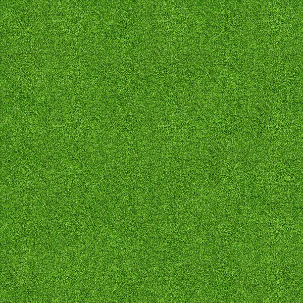 Fondo de banner de textura de campo de hierba verde natural sin costuras —  Fotos de Stock