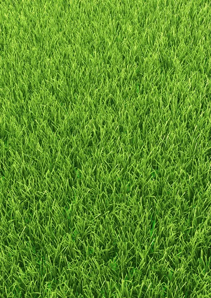 Verticale natured groen gras golf achtergrond papier van een veld — Stockfoto