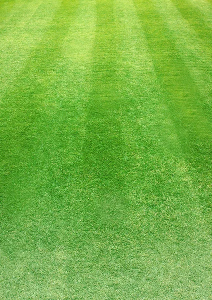垂直自然的绿草足球场论文背景 — 图库照片