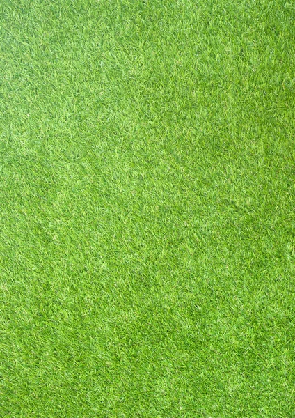 Vertical natured green grass field texture paper background