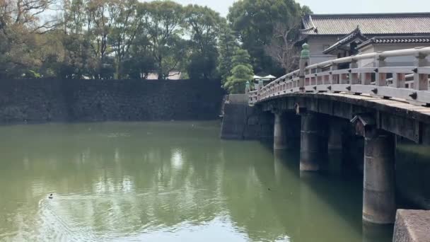 Den Traditionella Japan Slottsbyggnaden Bro Och Sjö Tokyo — Stockvideo