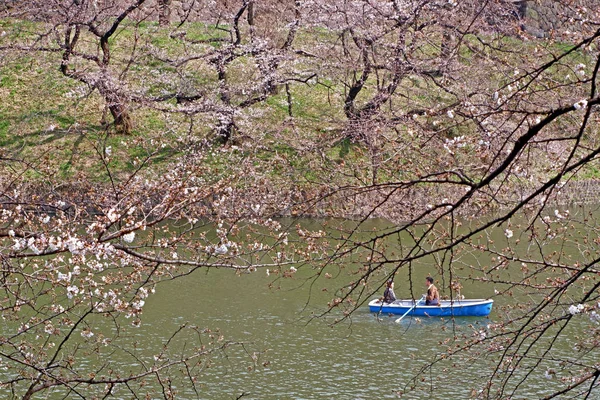 Kwiaty wiśni Sakura, Łódź wakacje w Japonii Tokio rive — Zdjęcie stockowe