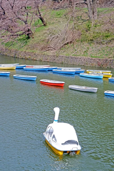 Sakura Kirschblüten Blumen, Ferienboot in Japan Tokyo Rive — Stockfoto