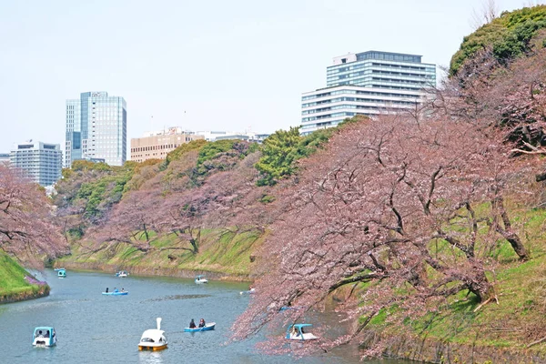 Naturalny odkryty park ma kilka łodzi rekreacyjnych na Japonii T — Zdjęcie stockowe