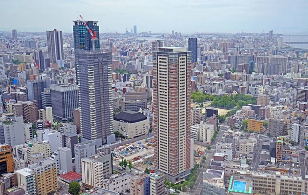 Japan Tokyo cityscape, commercial and residential buildings aeri