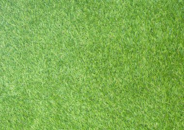 Tabiatli yeşil çim alan doku arka plan